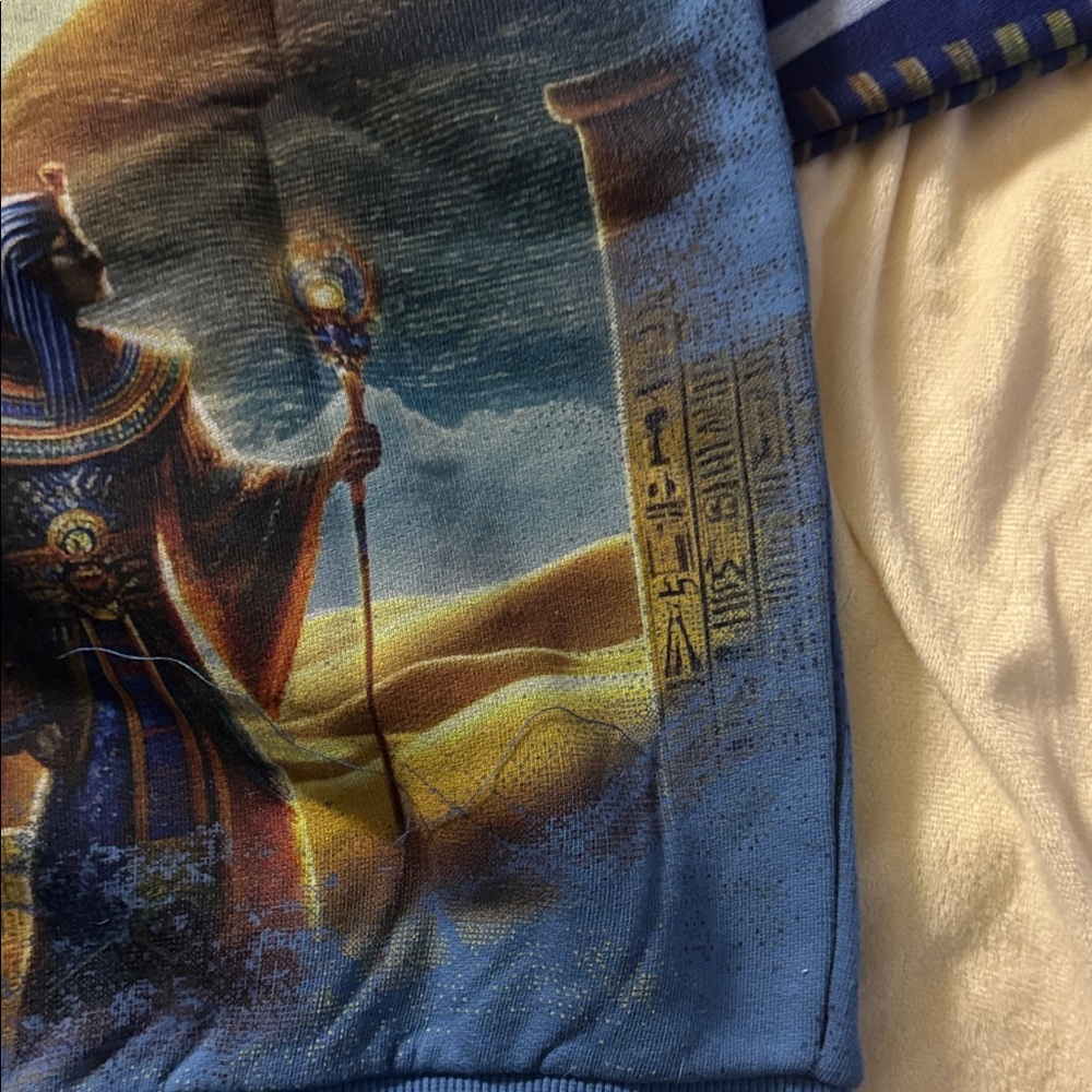Stray size sm Blue Pharaoh Graphic Hoodie - Picture 8 of 8